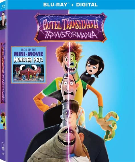 moviesjoy hotel transylvania|HOTEL TRANSYLVANIA: TRANSFORMANIA .